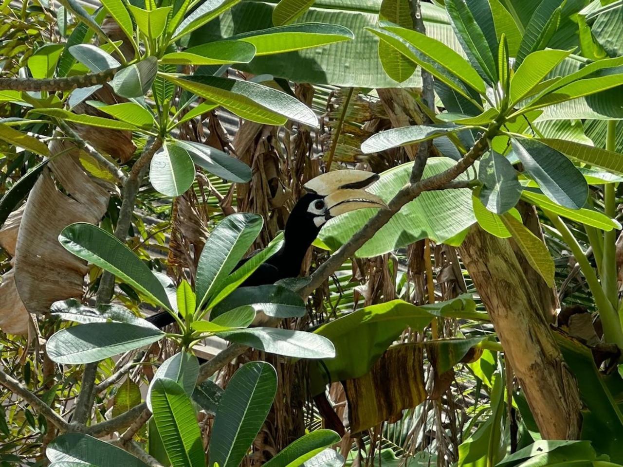 Leelawadee - Baan Lom Suay Villa Ban Laem Sai Bagian luar foto